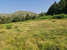 immagine di Passo del Bocco