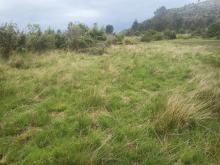 immagine di Lago di Bargone 6