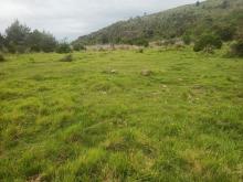 immagine di Lago di Bargone 7