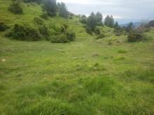 immagine di Passo del Bocco di Bargone