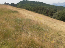immagine di Monte Bignone